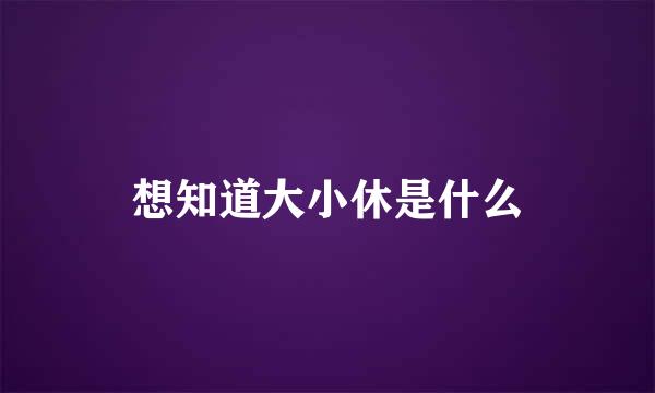 想知道大小休是什么