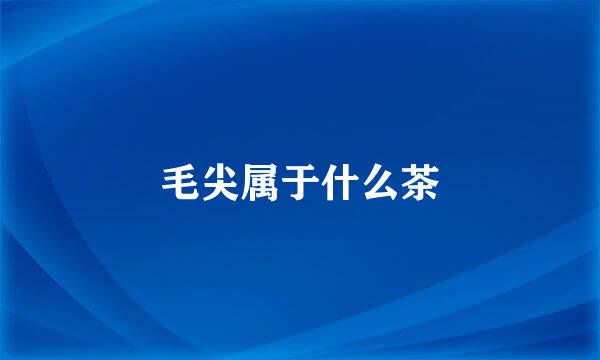 毛尖属于什么茶