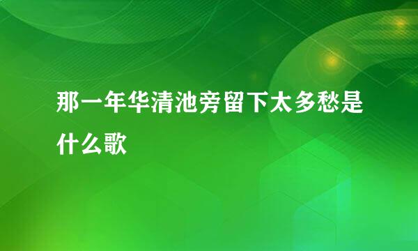 那一年华清池旁留下太多愁是什么歌