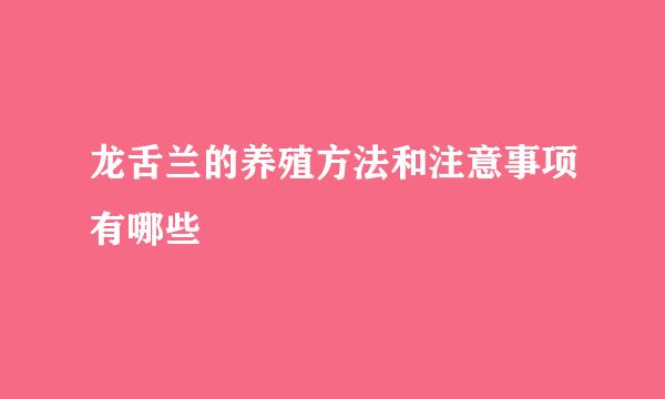 龙舌兰的养殖方法和注意事项有哪些