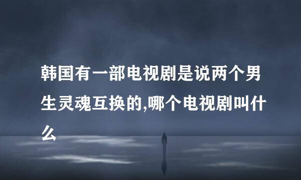 韩国有一部电视剧是说两个男生灵魂互换的,哪个电视剧叫什么