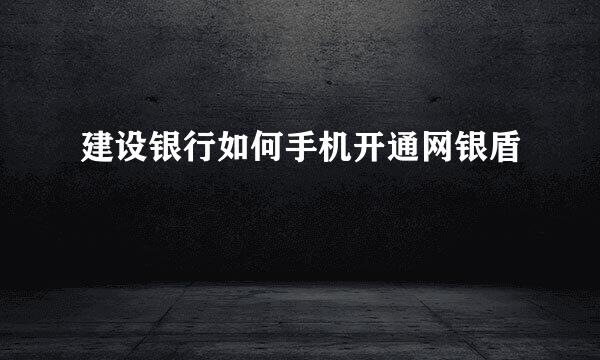 建设银行如何手机开通网银盾