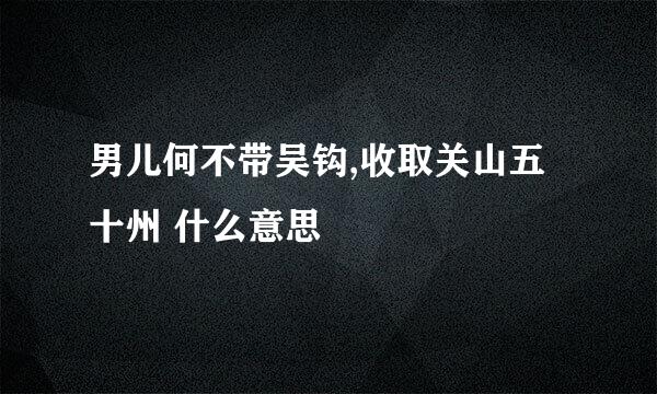 男儿何不带吴钩,收取关山五十州 什么意思