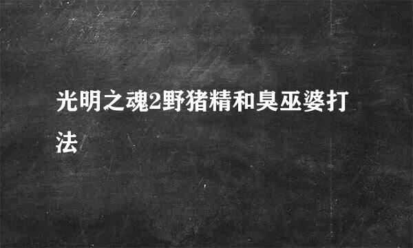 光明之魂2野猪精和臭巫婆打法