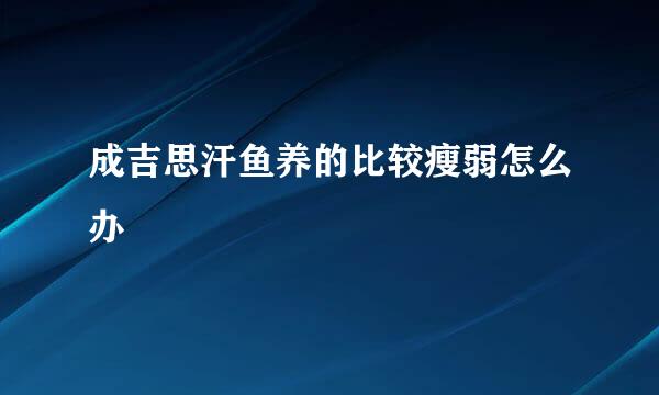 成吉思汗鱼养的比较瘦弱怎么办
