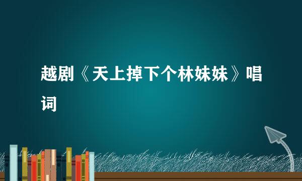 越剧《天上掉下个林妹妹》唱词
