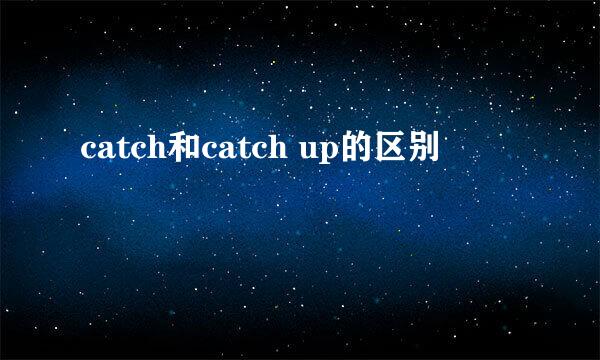 catch和catch up的区别