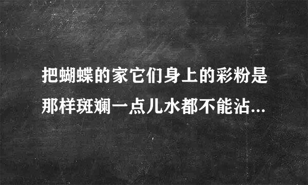 把蝴蝶的家它们身上的彩粉是那样斑斓一点儿水都不能沾的斑是什么意思