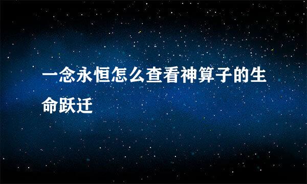 一念永恒怎么查看神算子的生命跃迁