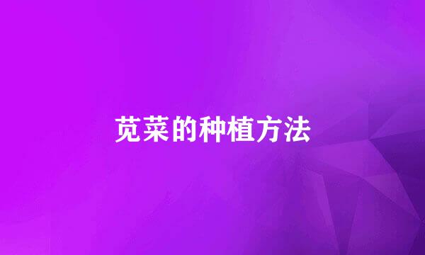 苋菜的种植方法