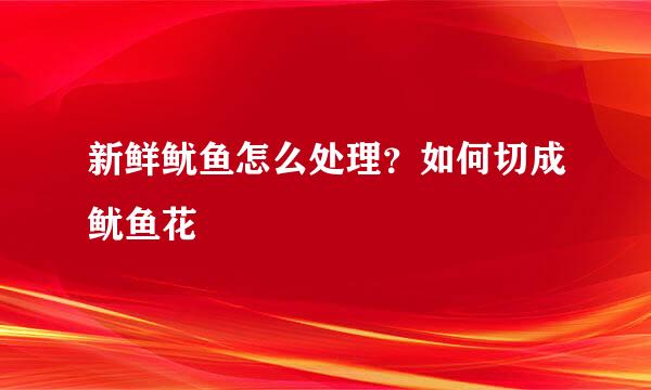 新鲜鱿鱼怎么处理？如何切成鱿鱼花