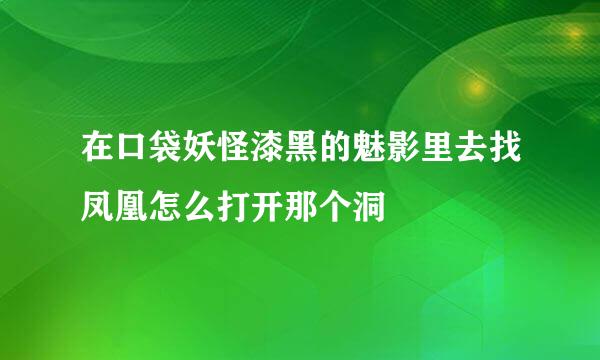 在口袋妖怪漆黑的魅影里去找凤凰怎么打开那个洞