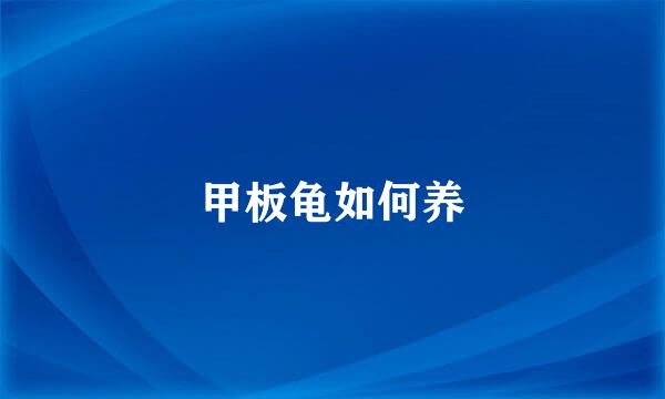 甲板龟如何养
