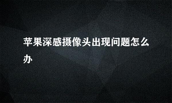 苹果深感摄像头出现问题怎么办