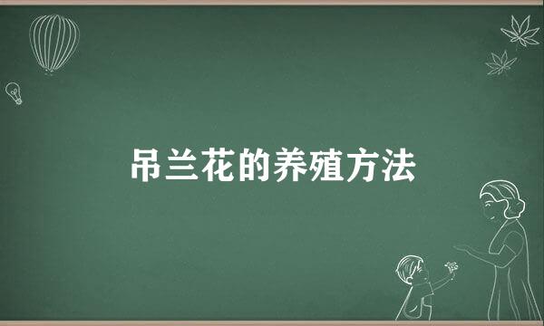 吊兰花的养殖方法