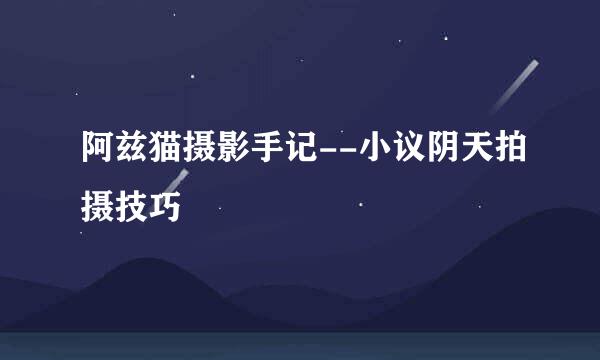 阿兹猫摄影手记--小议阴天拍摄技巧