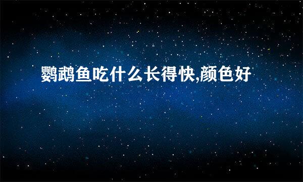 鹦鹉鱼吃什么长得快,颜色好