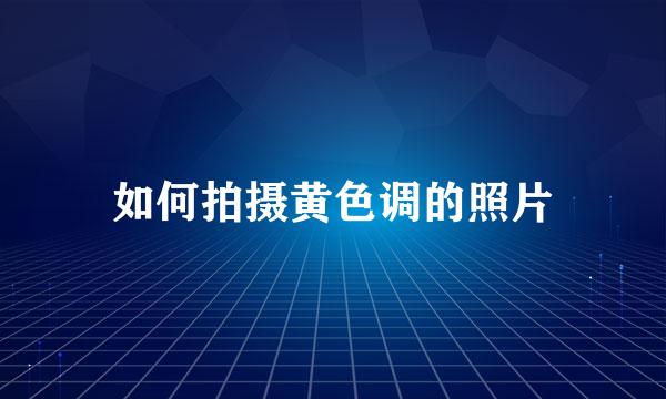如何拍摄黄色调的照片