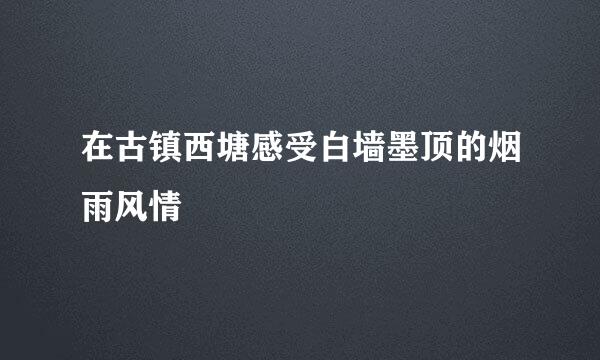 在古镇西塘感受白墙墨顶的烟雨风情