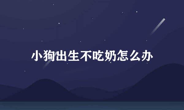 小狗出生不吃奶怎么办