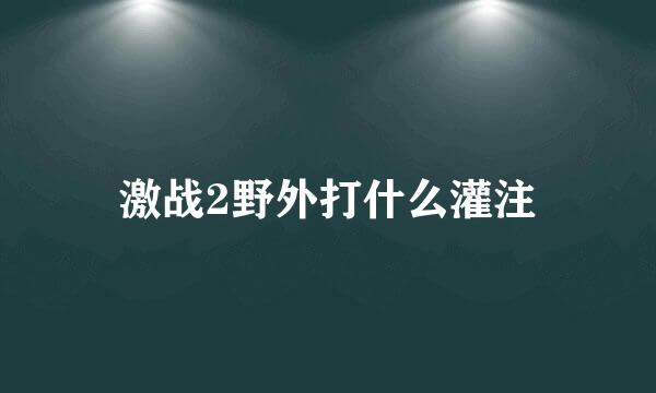 激战2野外打什么灌注