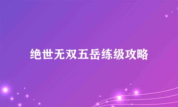 绝世无双五岳练级攻略