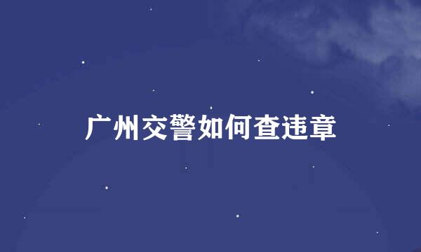 广州交警如何查违章