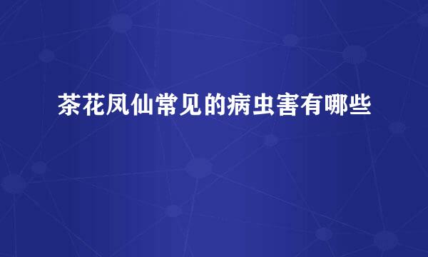 茶花凤仙常见的病虫害有哪些