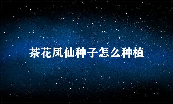 茶花凤仙种子怎么种植