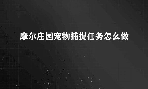 摩尔庄园宠物捕捉任务怎么做