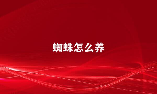 蜘蛛怎么养