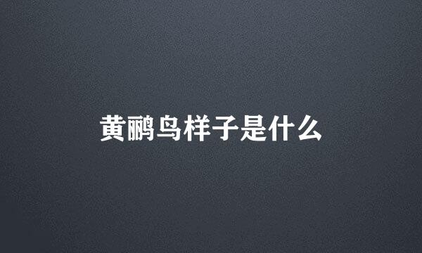 黄鹂鸟样子是什么