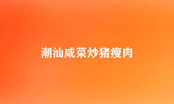 潮汕咸菜炒猪瘦肉