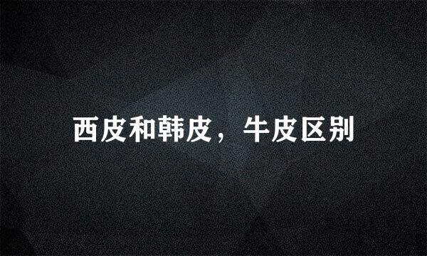 西皮和韩皮，牛皮区别