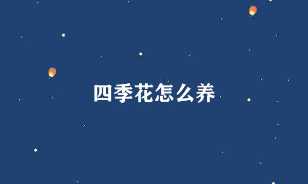 四季花怎么养