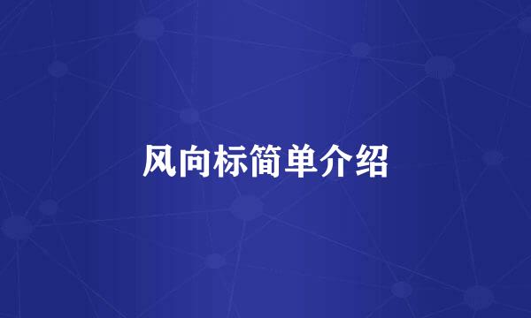 风向标简单介绍