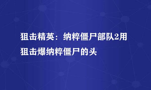 狙击精英：纳粹僵尸部队2用狙击爆纳粹僵尸的头
