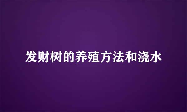 发财树的养殖方法和浇水