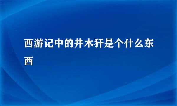 西游记中的井木犴是个什么东西