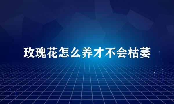 玫瑰花怎么养才不会枯萎