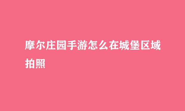 摩尔庄园手游怎么在城堡区域拍照
