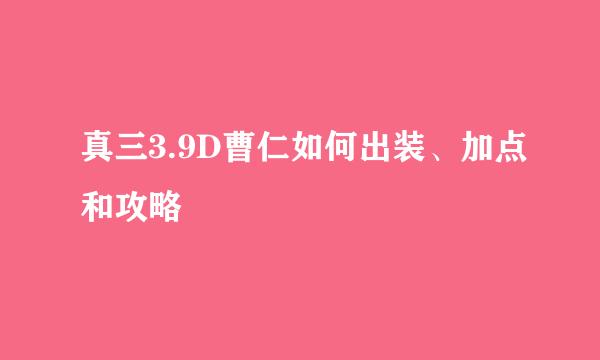 真三3.9D曹仁如何出装、加点和攻略