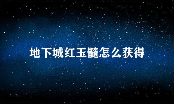 地下城红玉髓怎么获得