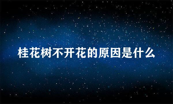 桂花树不开花的原因是什么