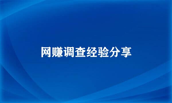 网赚调查经验分享