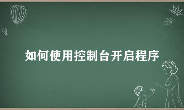 如何使用控制台开启程序