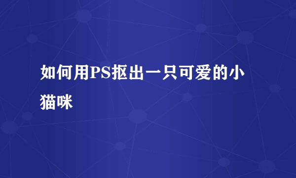 如何用PS抠出一只可爱的小猫咪