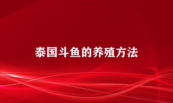 泰国斗鱼的养殖方法
