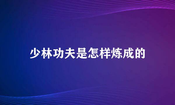 少林功夫是怎样炼成的