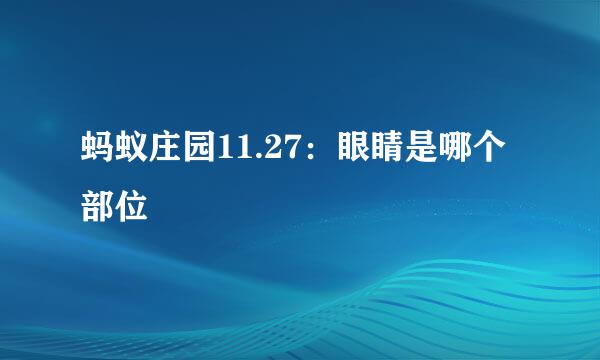 蚂蚁庄园11.27：眼睛是哪个部位